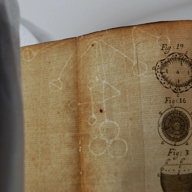 Watermarking Discrete Diffusion Language Models